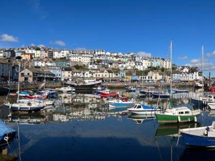 Boats in a harbour