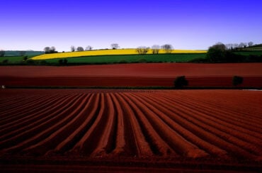 Farming fields with blue sky in the background