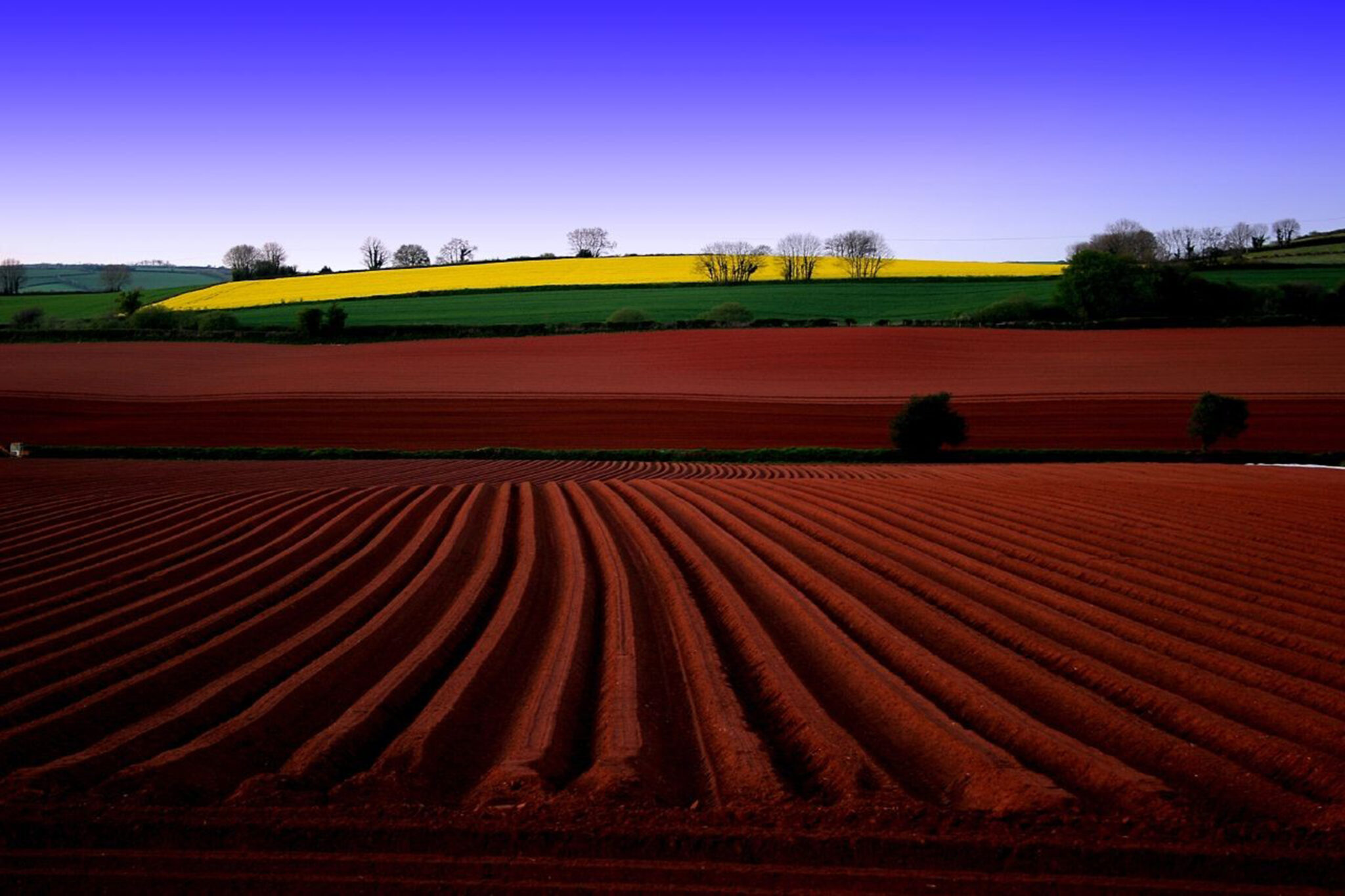 Farming fields with blue sky in the background