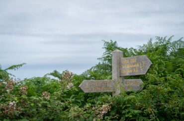 A footpath sign in front of green leaves with a grey sky