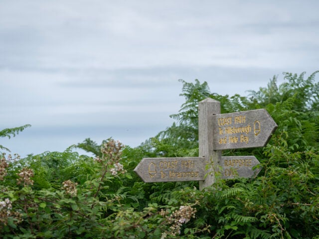 A footpath sign in front of green leaves with a grey sky