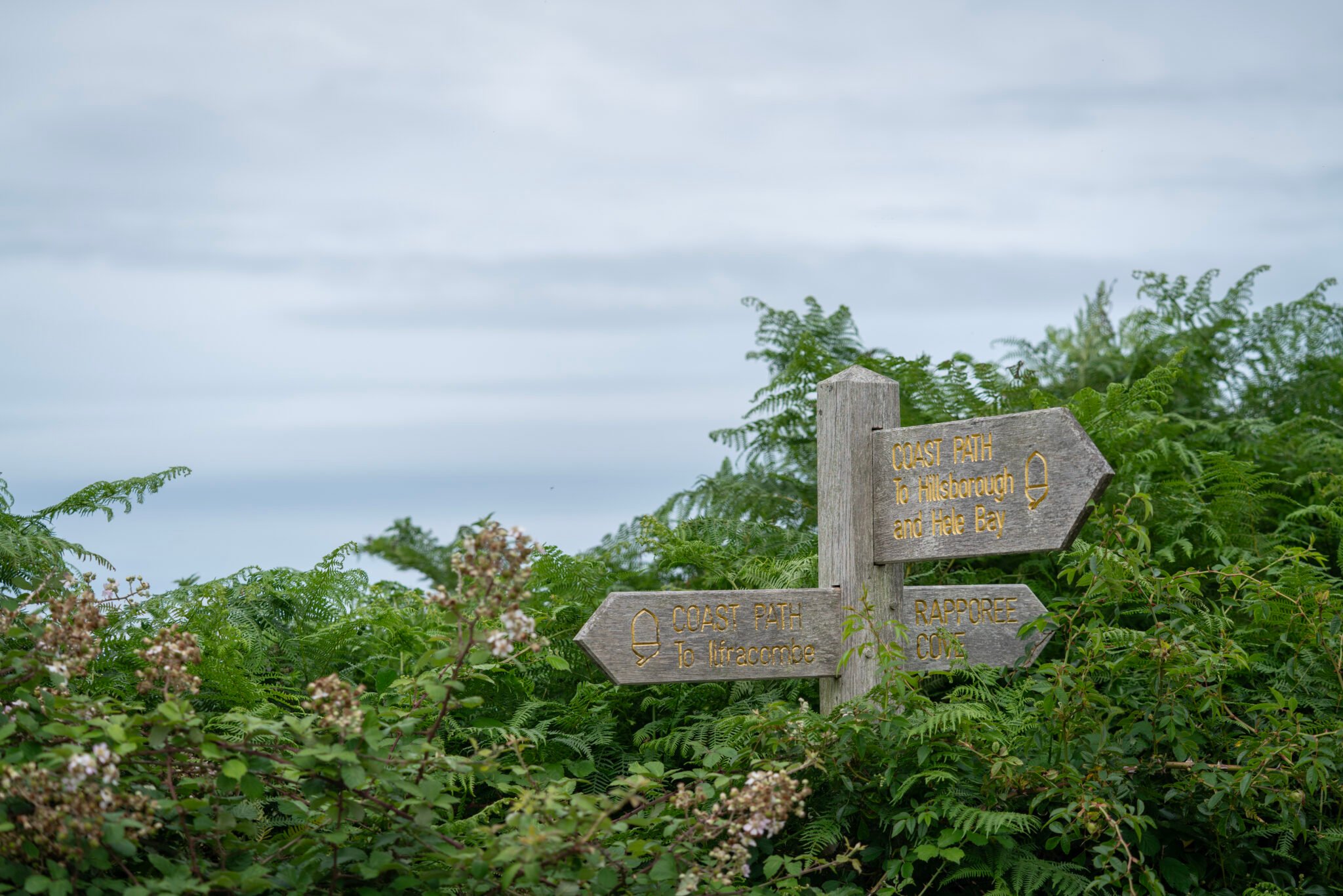 A footpath sign in front of green leaves with a grey sky