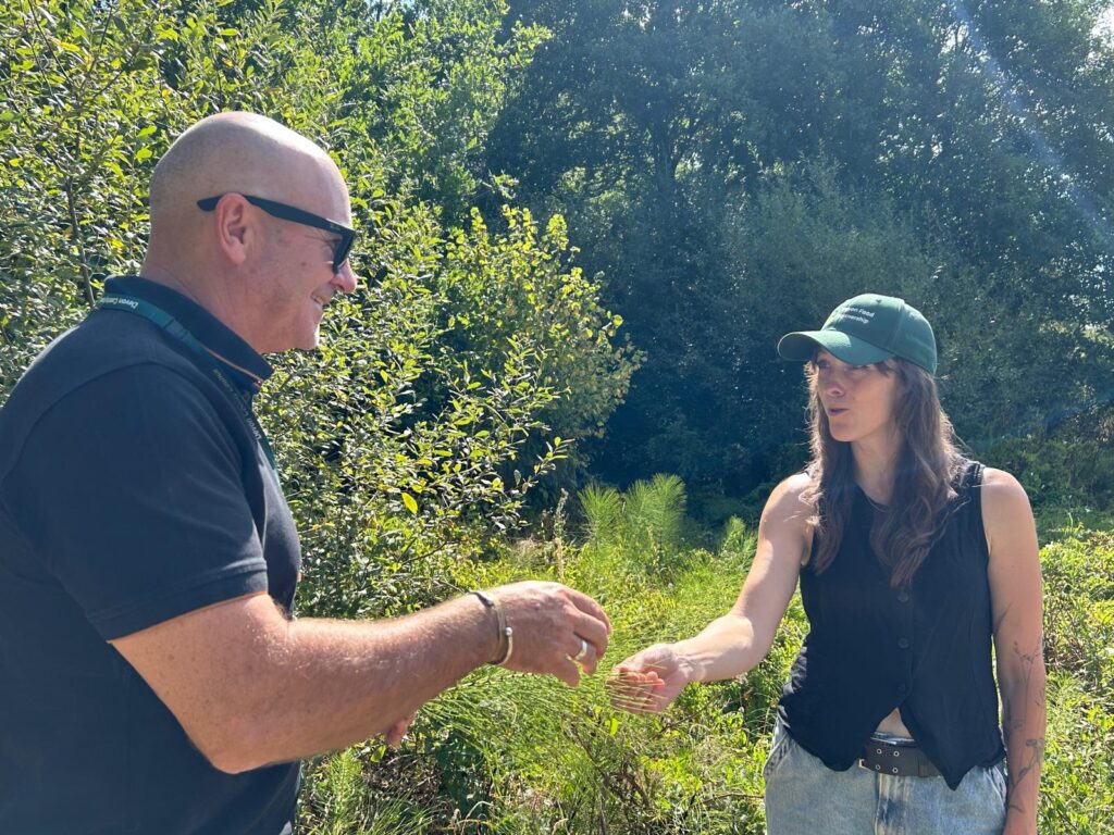 Two people stand among dense greenery and young trees, looking at and discussing a plant. One person gestures towards the vegetation while the other reaches out to inspect it. The scene is brightly lit by sunshine filtering through the trees.